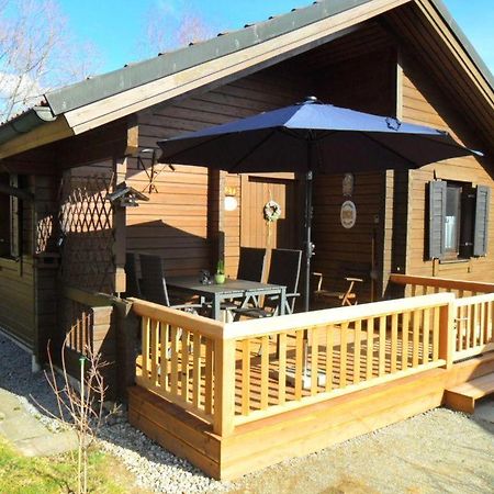 Komfortables-Ferienblockhaus-Nr-27-56-Qm-Bis-4-Personen-Viechtach-Jaegerpark Экстерьер фото